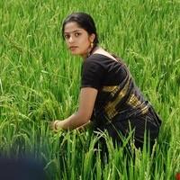 Telangana Godavari Movie Stills | Picture 95149